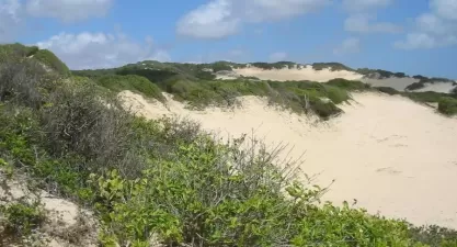 Parque das Dunas: Natureza e Tranquilidade em Natal, RN