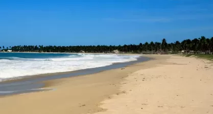 Praia de Maracaípe, Pernambuco: Surf e Imóveis