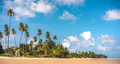 Tudo sobre a Praia de Serrambi: Um paraíso no litoral