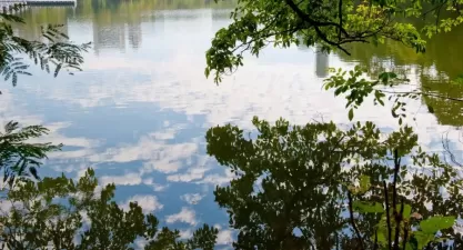 Parque Florestal de Sinop: Turismo e Natureza em Mato Grosso