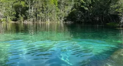 Lagoa Cristalina: Como Chegar, Dicas e Melhor Época de Visita