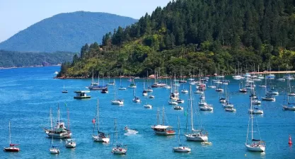 Festa de São Pedro Pescador: Tradição e Cultura em Ubatuba